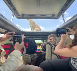 African Safari Drive